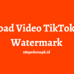 Download Video TikTok Tanpa Watermark 2023