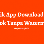 SnapTik App Download Video Tiktok Tanpa Watermark